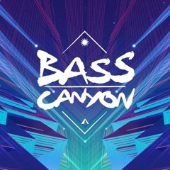 Road to Bass Canyon Mini-Mix