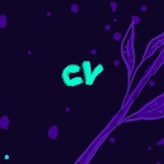 BLISS - CV