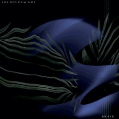 Braik - Los Dos Caminos (SO005)