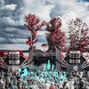 Mystic Ground - Mystic Creatures Festival 2025 DJ mix artwork - Electronic music tracklist cover image