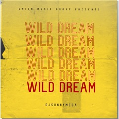 Wild Dream DjSunnyMega ft. Taylor Swift