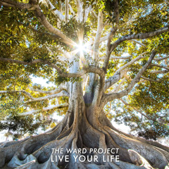 Your Life