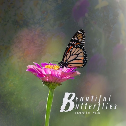 Beautiful Butterflies