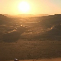 Desert Adventure