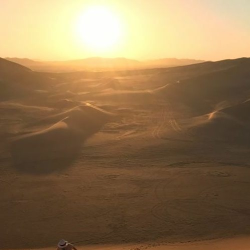 Desert Adventure