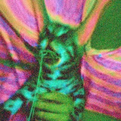 untitled 1