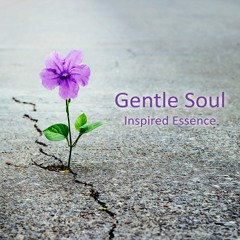 Gentle Soul
