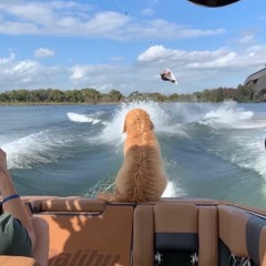 Retriever