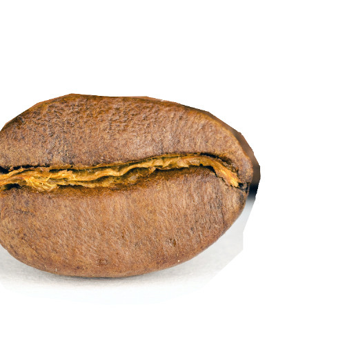 Serene1-CLICK-03o1-09s1-01s3o1-03s3-o10-1 NEWCLICK9