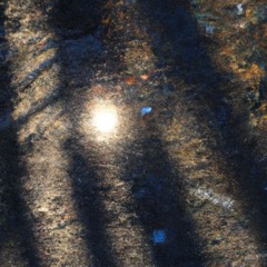 Cicci Gay - AI HIT ESTIVA