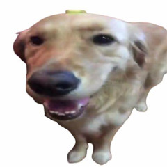 follow my new account!