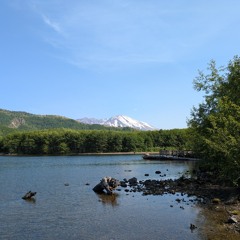 used to love - pamantean (frrt flip).wav