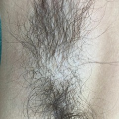 Pilosité (Prod by Hashfinger)