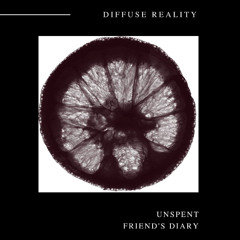Unspent - Friend's Diary EP (Diffuse Reality / DRSS1021)