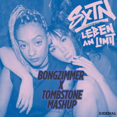 Bongzimmer [SXTN] X Thombstone Mashup/Remix by DJDEN!AL