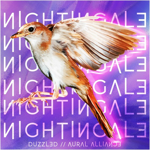 Duzzled - Nightingale