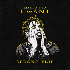 MADEINTYO - I WANT (SPECKZ FLIP)