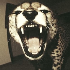 Zone 99😶‍🌫️