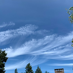 Summer Breezes CW