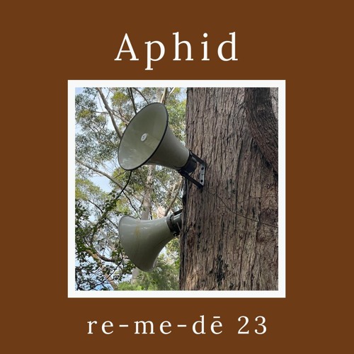 re-me-dē Session 23 - Aphid