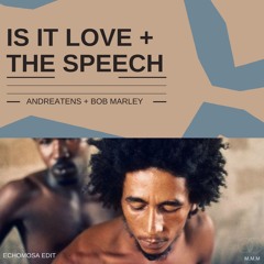 Is It Love x The Speech (EchoMosa Edit)