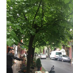 duyuyor musun (demo)