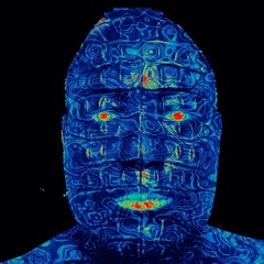 Escape insectos pica rabid_2 mix guarani.mp3