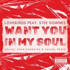 LOVEBIRDS - I Want You My Soul (Tallez, Jackal, Rafa Carneiro) Remix