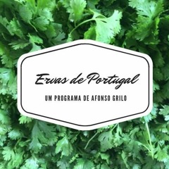 ERVAS DE PORTUGAL: A erva cidreira