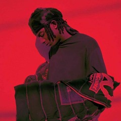 playboi carti - in the lobby ft. sosaman(slowed)