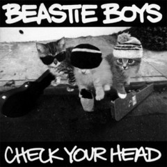 DJ Shadow vs Beastie Boys | Mashup