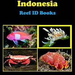 FREE EBOOK 💓 Coral Reefs Indonesia: Reef ID Books by  A. S. Ryanskiy [EBOOK EPUB KIN