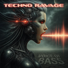 Voice Of Bass