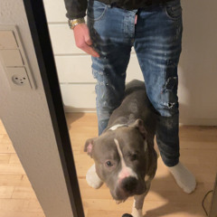 €€€ - Copenhagen City.mp3