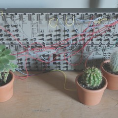 Cactus Ambient Extended Mix | AE Modular