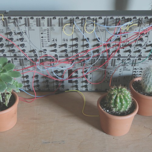 Cactus Ambient Extended Mix | AE Modular