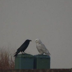 She thinks im a creep(with @l8call )