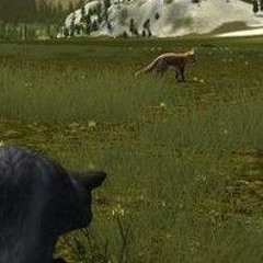 bear attack - lost river wolfquest