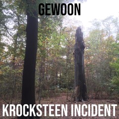 Gewoon - Krocksteen Incident