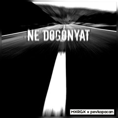 MXRGX x pevkopacan - NE DOGONYAT