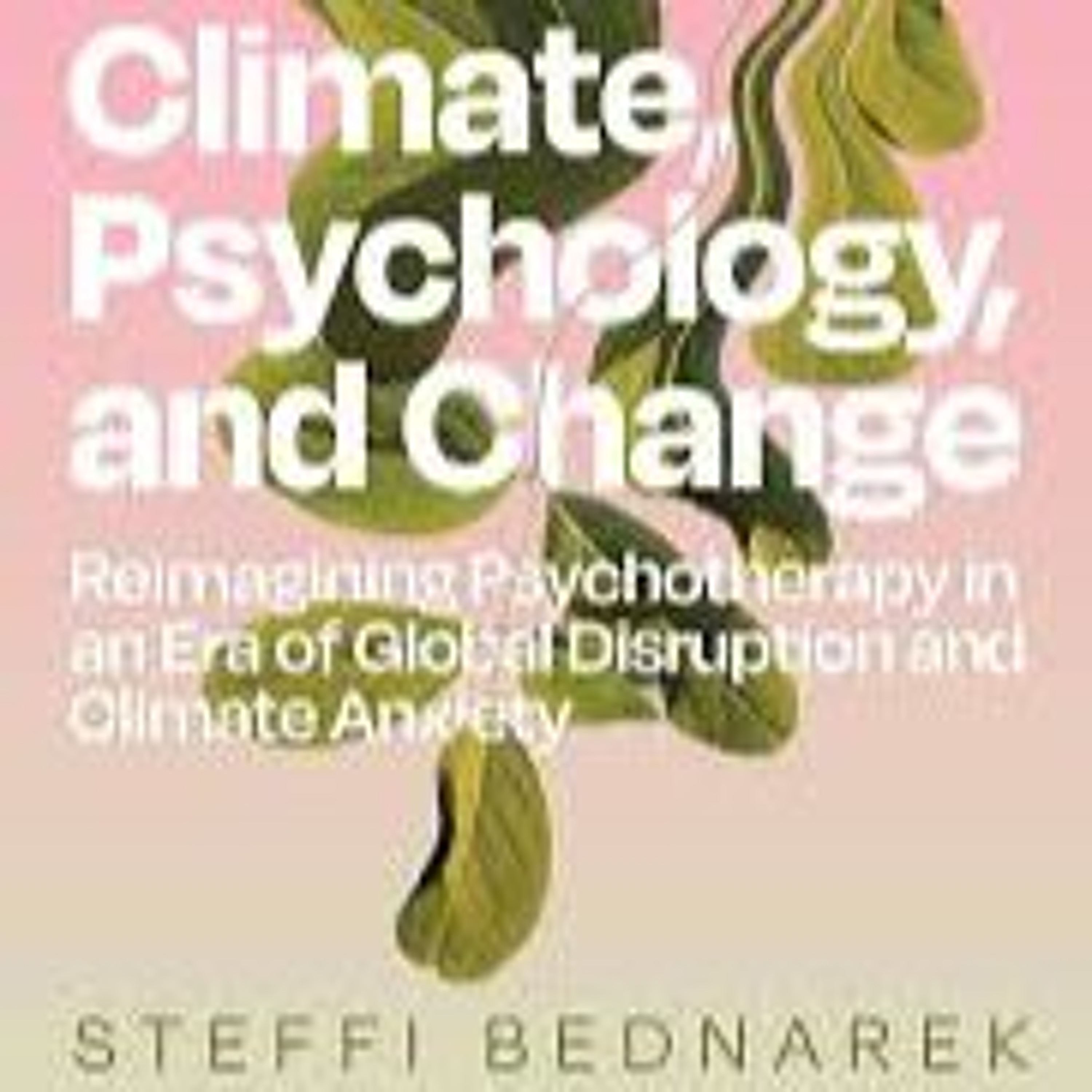 The Magical Mystery Tour Jul 29 2024 Steffi Bednarek - Climate Psychology & Change episode artwork