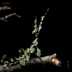 GTG Premiere | Truxx - Basin [SS7.015EP]