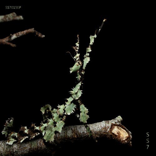 BCCO Premiere: Truxx - Hinode [SS7.015EP]
