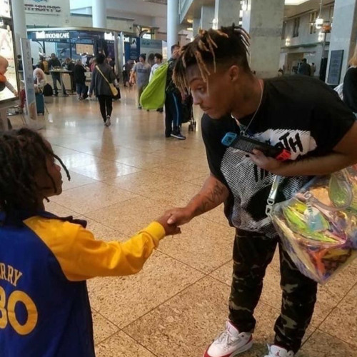 Meadows • Rose Petals