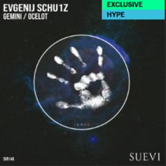 Evgenij Schu1z - Gemini