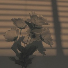 Siouxxie - Ketamine (edited)