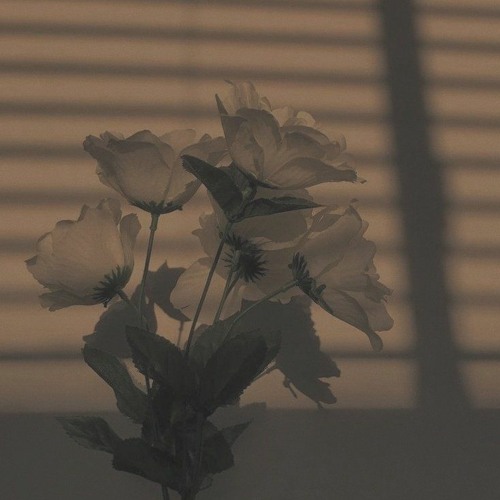 Siouxxie - Ketamine (edited)