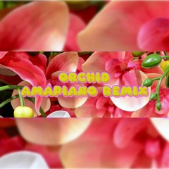 Orchid - Amapiano Remixes (DJ FLWRCHLD)