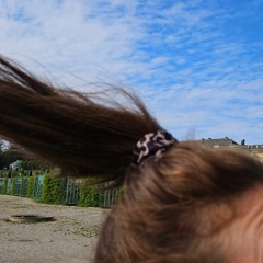 die maxiemale endsommer ode