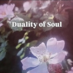 Duality of Soul